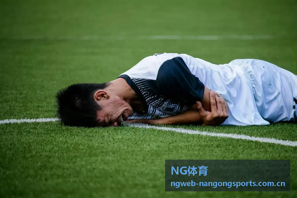 NG体育数据情报封面